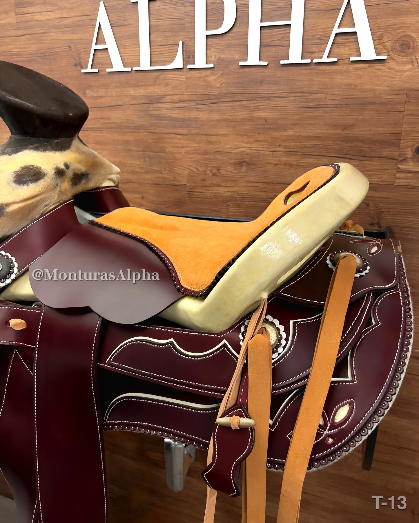 Montura Tradición T-13
