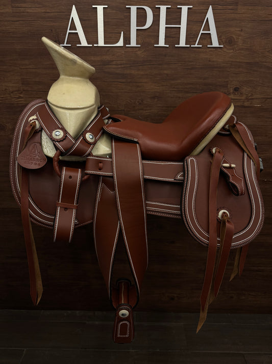 Montura            CIMARRON